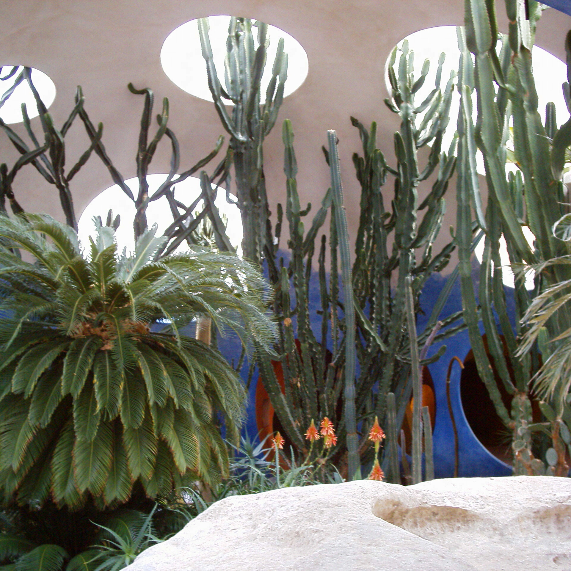 Entretien des jardins saint laurent du var 06700