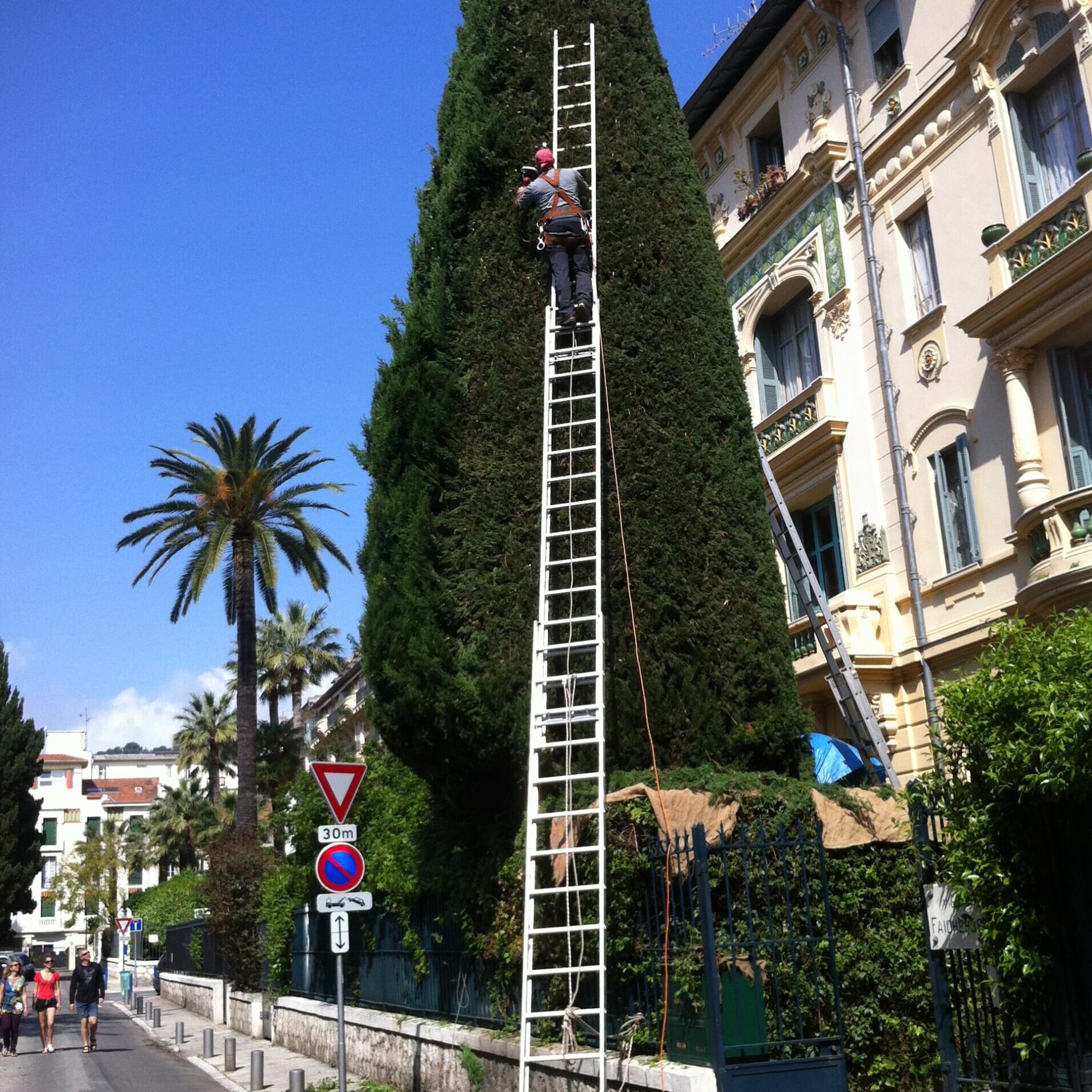 Abattage d'arbre à saint laurent du var 06700